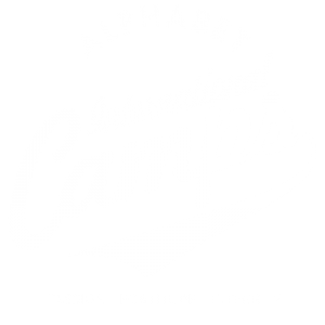 alphabet_camps